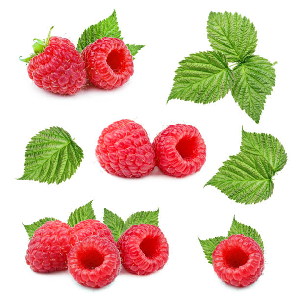 set of raspberry with leaves isolated on white background - framboesa imagens e fotografias de stock