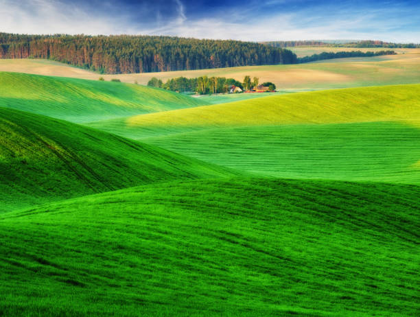 istock spring field. picturesque hilly field. agricultural field in spring 939645666