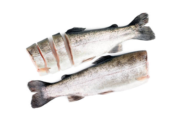 istock Two raw trout fishes isolated on white background 939648208