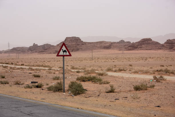 istock colors of Jordan 939648828