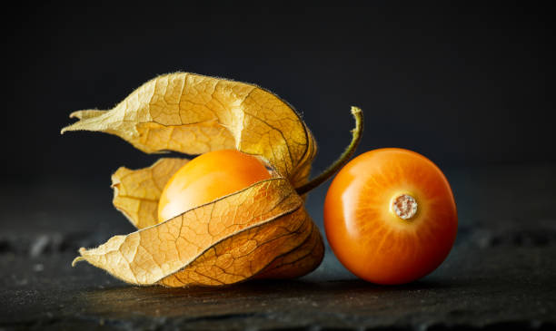 physalis lub agrest - winter cherry zdjęcia i obrazy z banku zdjęć