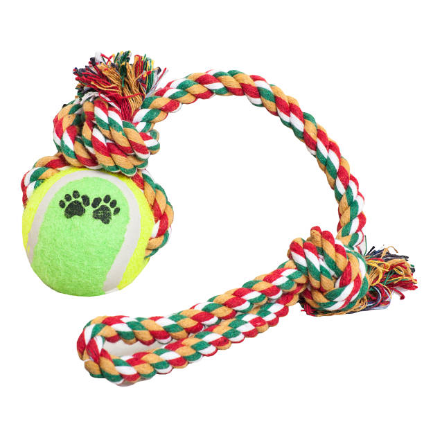 istock Pet toy on Isolated White Background 939652900