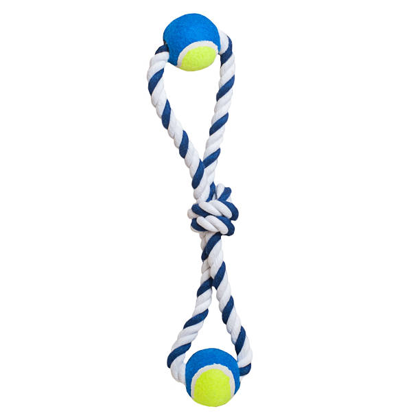 istock Pet toy on Isolated White Background 939653060