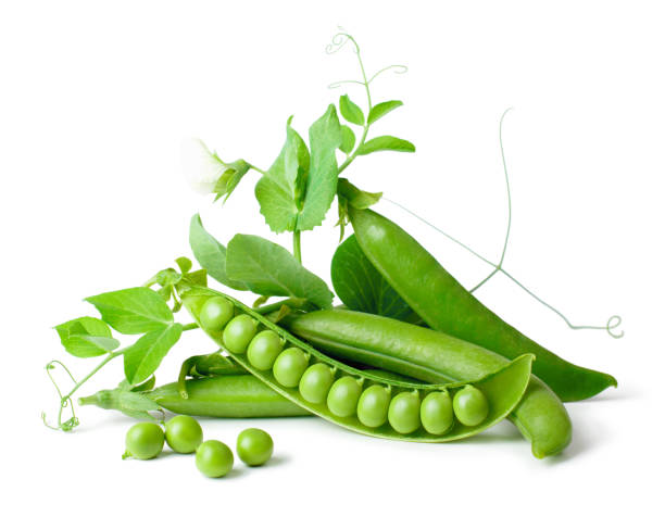 istock Green peas in pods freshly picked with leaves on white background 939658752