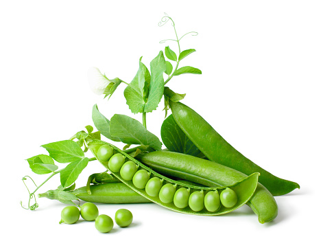 Green peas in pods freshly picked with leaves on white background as package design