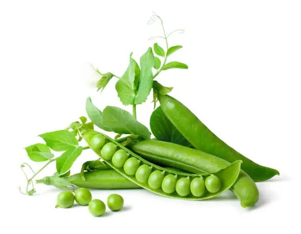 Photo of Green peas in pods freshly picked with leaves on white background