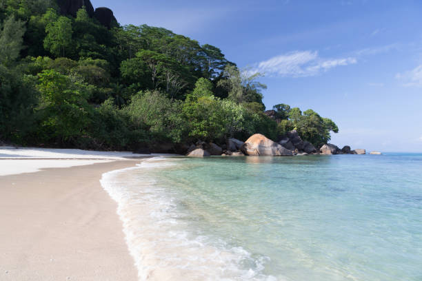 istock A beach on the Seychelles island with white sand and stones 939658988