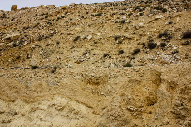 istock colors of Jordan 939662638
