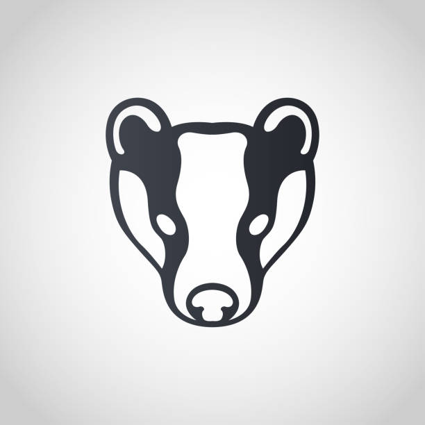 Badger symbol icon design, vector illustration Badger symbol icon design, vector illustration meles meles stock illustrations