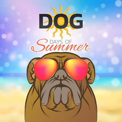 Dog days of summer symbol icon design, vector illustration