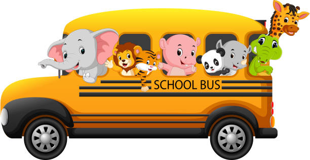 253 Zoo Bus Illustrations & Clip Art - iStock | Safari bus