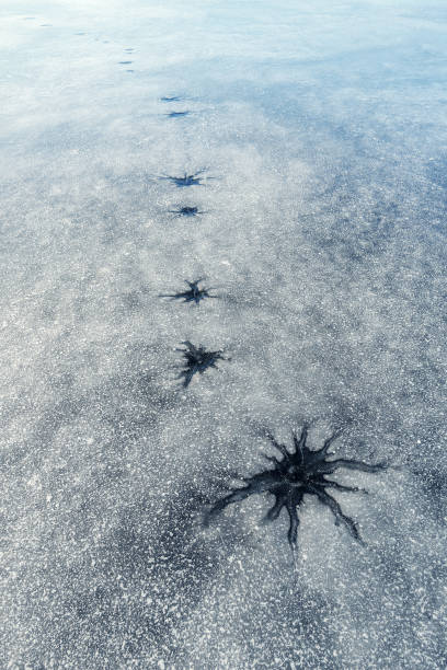 istock a number of burrows (hole) in the ice 939675258