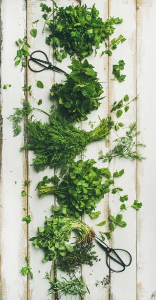 istock Various fresh green kitchen herbs over white wooden background 939678422