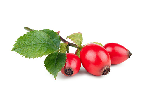 Rose hips with leaves isolated on white background.
