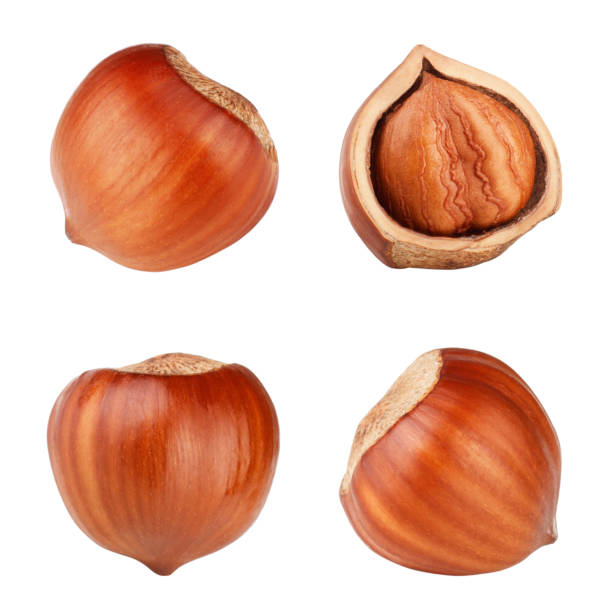 istock Set of hazelnuts isolated on white background 939694958