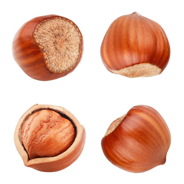 istock Set of hazelnuts isolated on white background 939694980