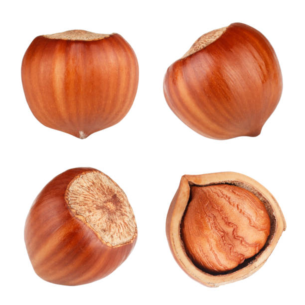 istock Set of hazelnuts isolated on white background 939694998