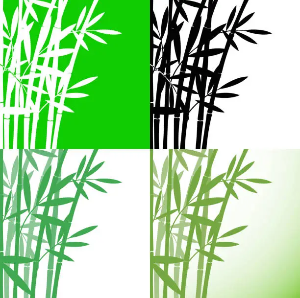 Vector illustration of Bamboo (Bambus) set background, stock vector illustration