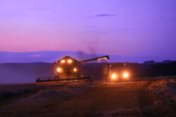 istock Combine harvester working on a wheat crop at night 939729260