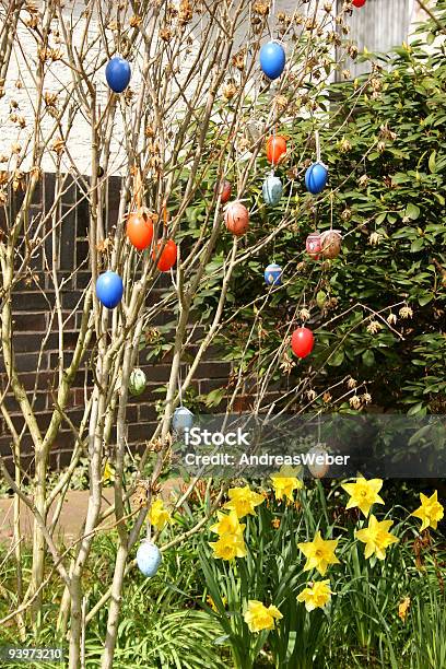 イースター卵の枝の庭園 - お祝いのストックフォトや画像を多数ご用意 - お祝い, まぶしい, イースター
