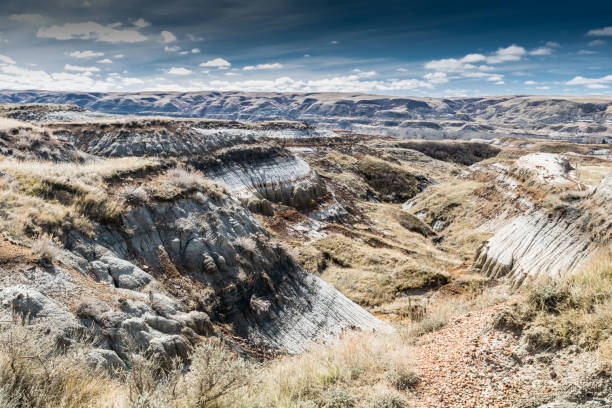 Summer, Canadian Badlands, Drumheller, Alberta, Canada Summer, Canadian Badlands, Drumheller, Alberta, Canada drumheller valley stock pictures, royalty-free photos & images