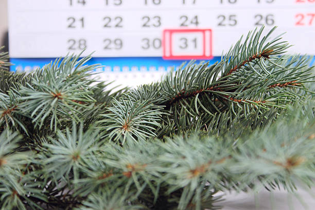 istock On eve of arrival new year 93973421