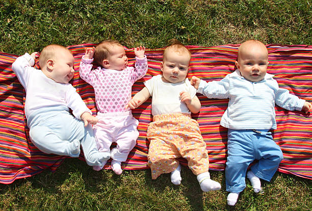 babies in park stock photo