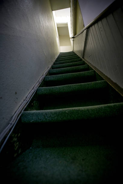 velha escadaria assustador - basement spooky cellar door - fotografias e filmes do acervo