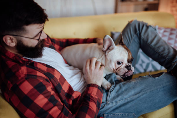 istock Man relaxing in sofa and cuddling with his dog 939745970