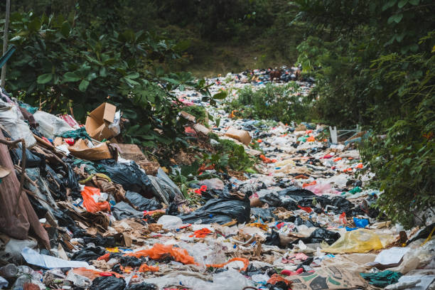 istock sanitary landfill inside forest - garbage dump, waste desposit - environmental pollution 939746858