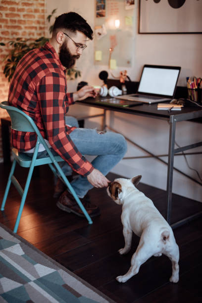 istock Freelancer working from home and playing with his dog 939749772