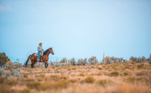 istock Cowboy riding a horse in nature 939750686