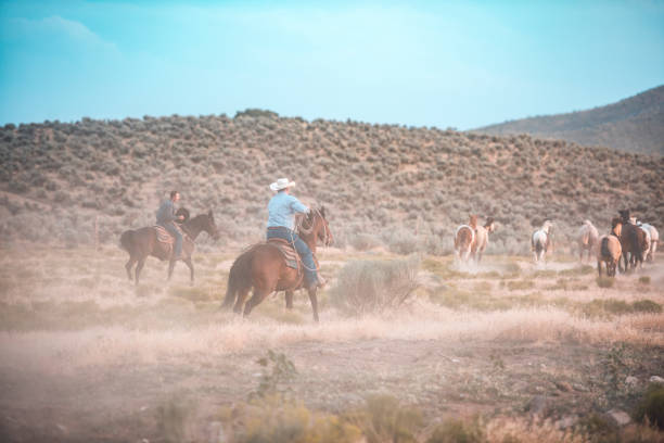 istock Cowboys riding a horse in nature 939750766