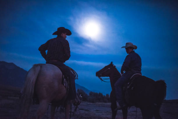 vaqueiro a cavalo na natureza à noite - horseback riding cowboy riding recreational pursuit - fotografias e filmes do acervo