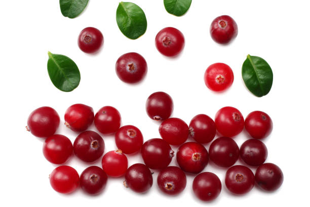 istock Cranberry with green leaves isolated on white background. top view 939753456