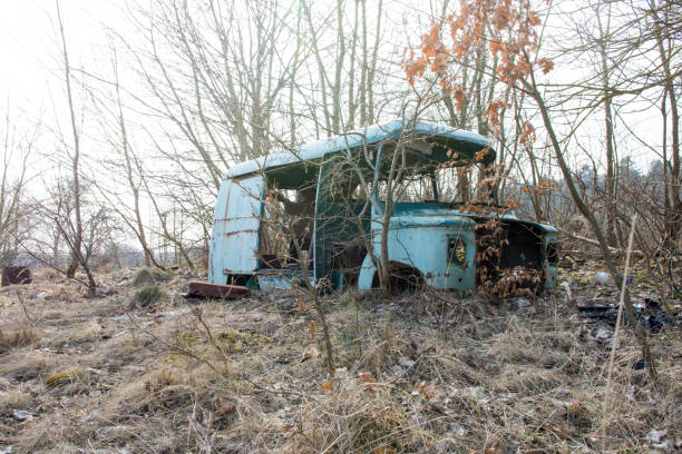 istock Old destroyed bus among trees on a calm day 939753790