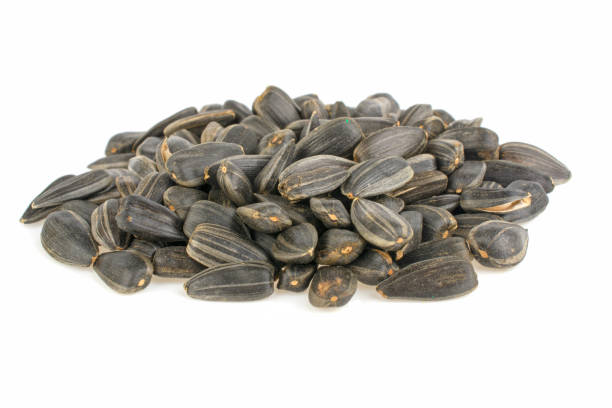 istock Fried sunflower seeds on white background 939754212
