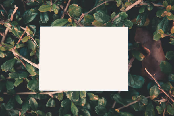 istock Blank white rectangular paper on green leaves with branch in vintage tone 939755398