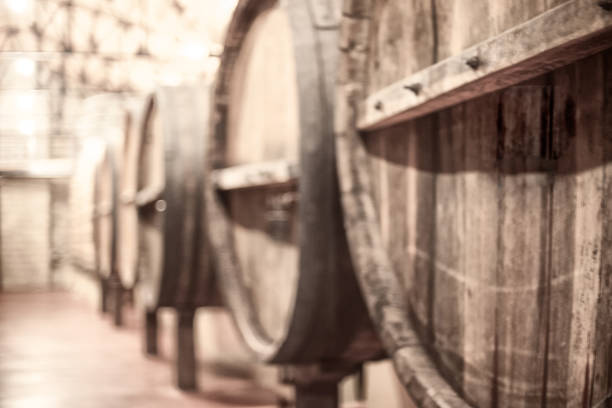 beczki z winem w winiarni - alcohol wine barrel la rioja zdjęcia i obrazy z banku zdjęć