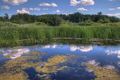 zippel-bay-state-park-lake-of-the-woods-minnesota.jpg?b=1&s=170x170&k=20&c=Rznga662uCYxMibepSzu2QU-RUD8pNlfWtEJWFUTXZw=