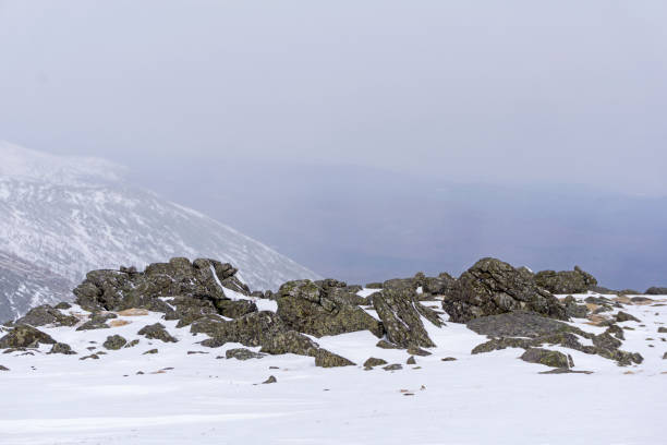istock Arctic landscape with granite boulders 939762504