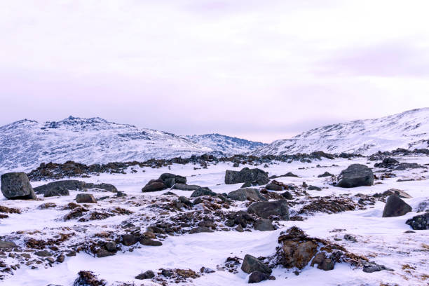 snowy highland plateau with granite boulders snowy highland plateau with granite boulders in the foreground and mountain peaks in the background plateau photos stock pictures, royalty-free photos & images