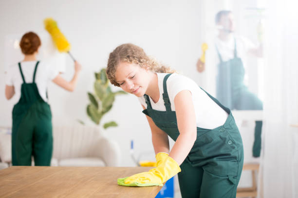 istock Woman wiping the table 939762830