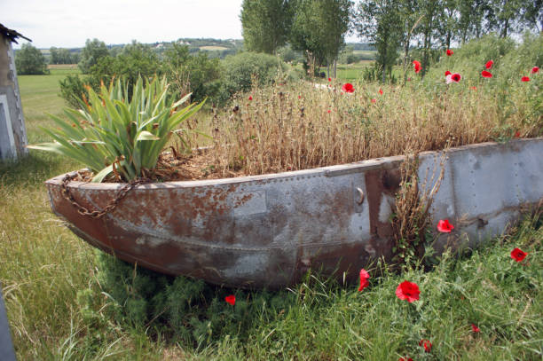 istock Old boat as planter with red poppies 939768602