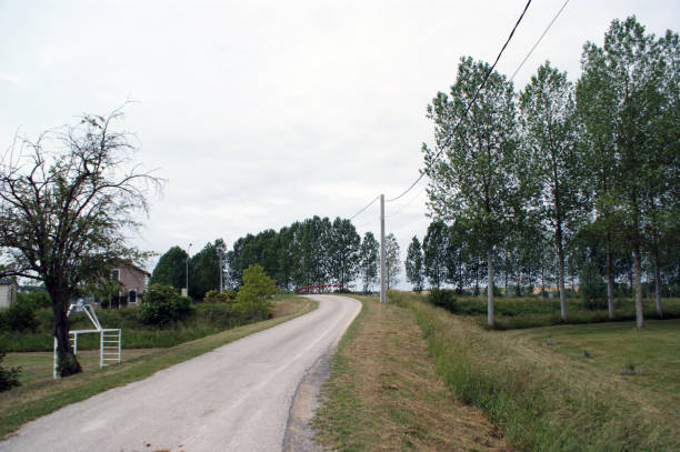 istock French landscape with road and trees 939770712