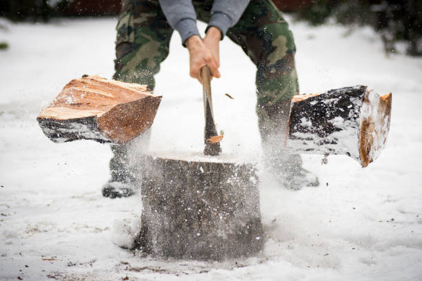 lumberjack cutting wood in snow The lumberjack is cutting wood in snow while falling snow at winter. chopping food stock pictures, royalty-free photos & images