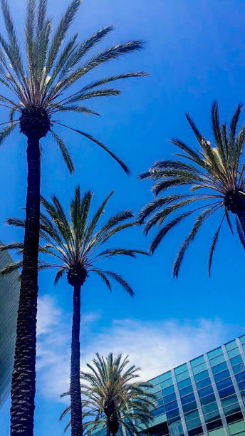 istock California Skies 939773186
