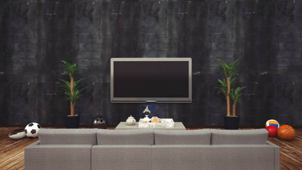 Sitting sofa and watching television tv All sports balls in front of blank television screen with black ceramic wall and sofa Touchdown stock pictures, royalty-free photos & images