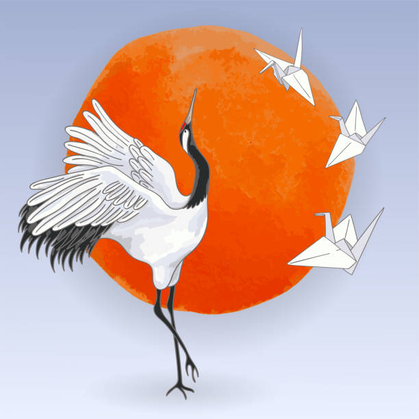 ilustrações de stock, clip art, desenhos animados e ícones de japanese dancing crane and paper birds over sunset - traditional culture heron bird animal