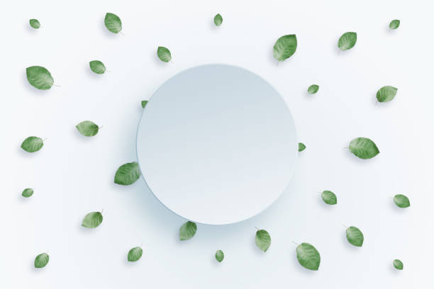istock Spring background, green leaves frame on a light background. Floral background. flat lay, top view, copy space, Mixed media. Valentine's Day, March 8 939779258